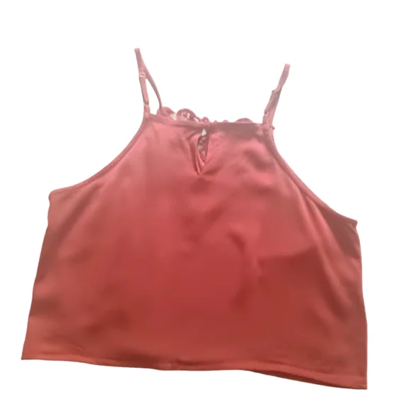 Amuse Society Crop Tank with Crochet V-Neck - Picture 4 of 5